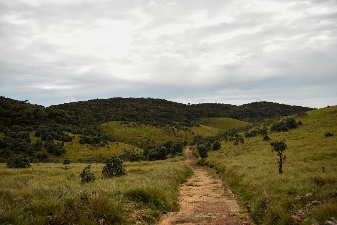 Horton,Plains,National,Park,,Sri,Lanka