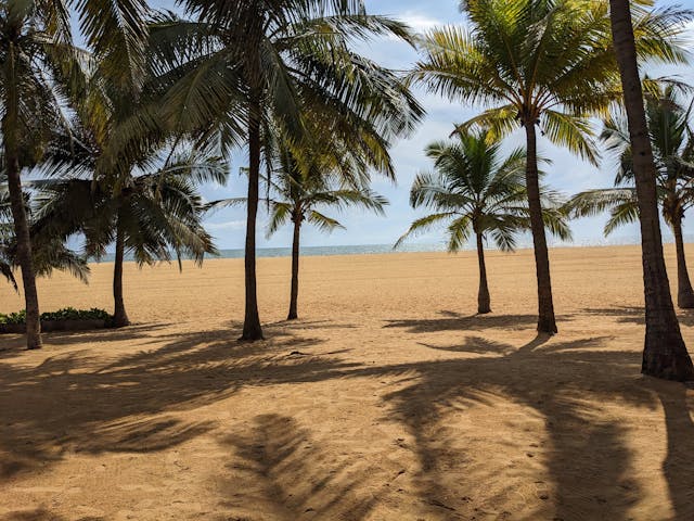 Negombo (1)