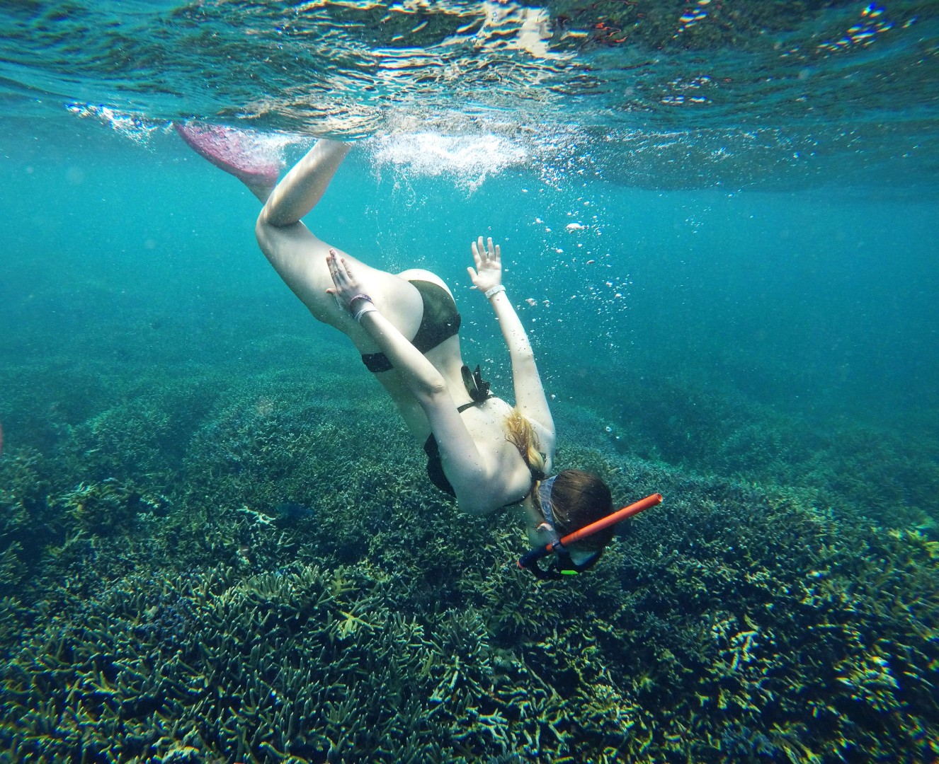 Diving,In,The,Ocean,In,Sri,Lanka.,2018