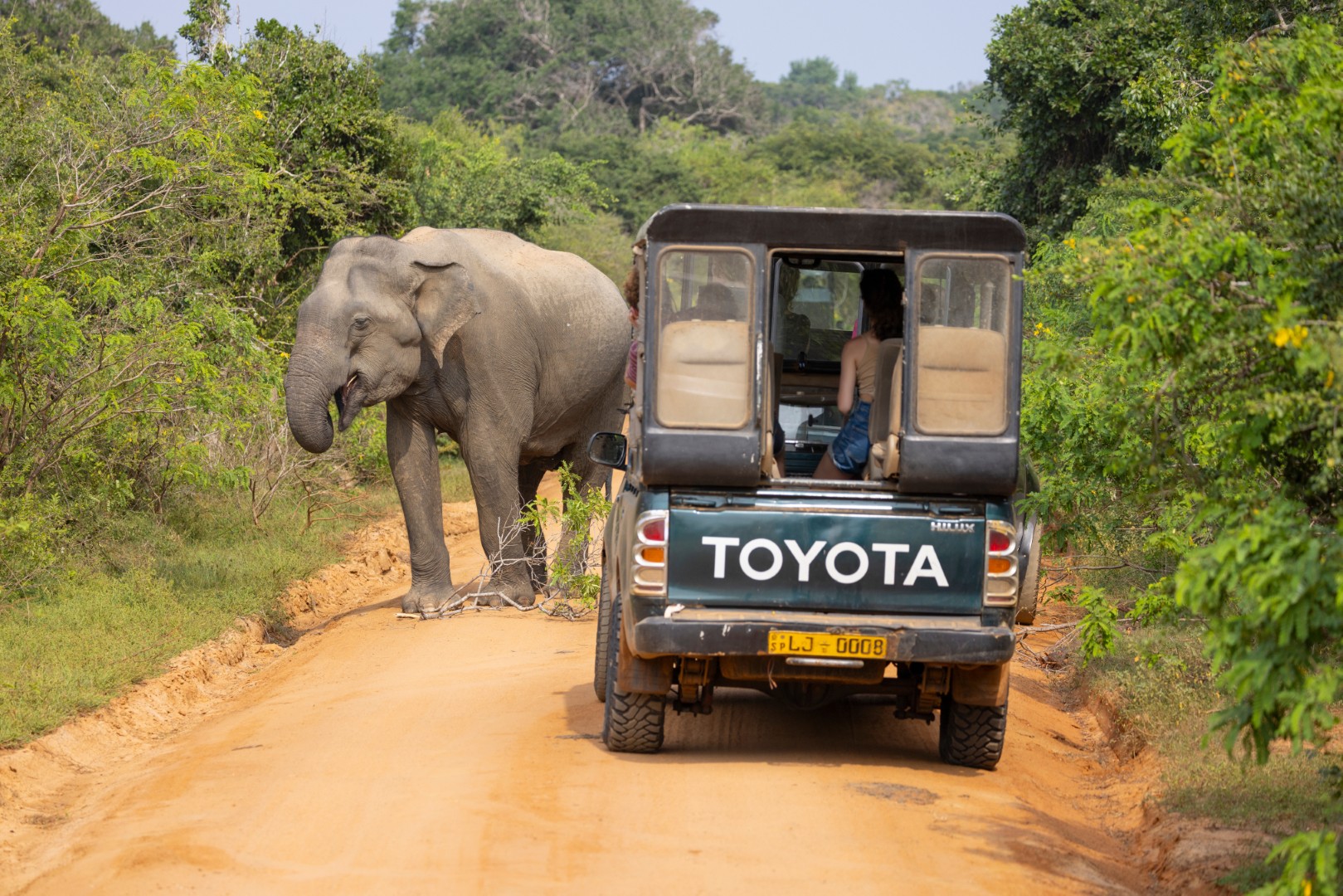 Yala,National,Park,,February,10th,2024